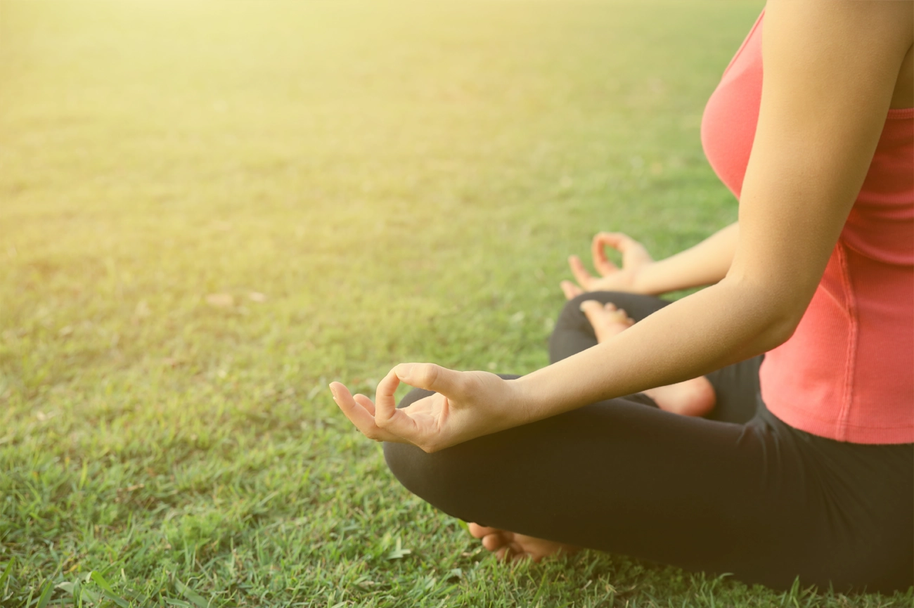 Holistic Psychiatry for Chronic Stress